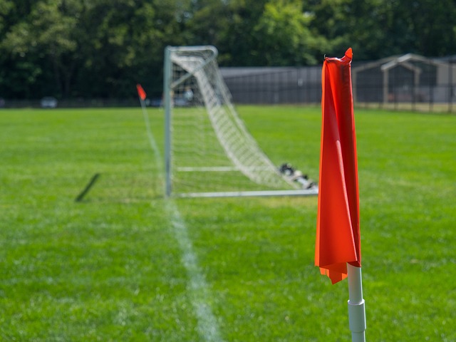 他们不仅在 他们不仅在