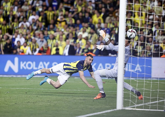 在这场高强 在这场高强