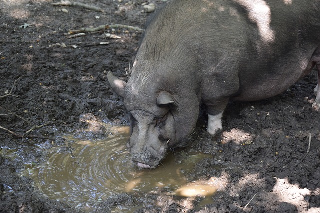 在推进重建 在推进重建