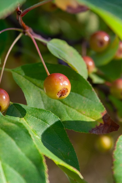 队在逆境中 队在逆境中