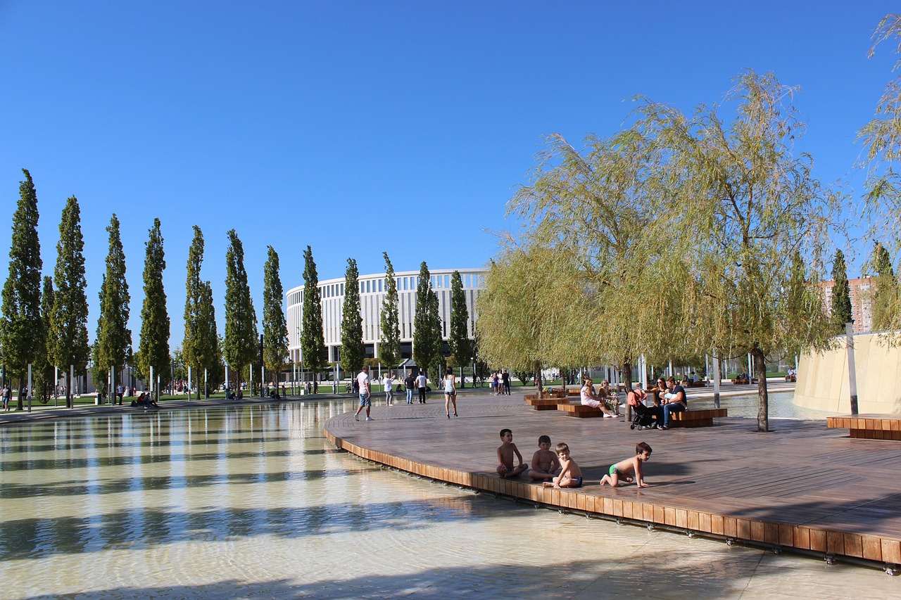 关注的焦点 关注的焦点