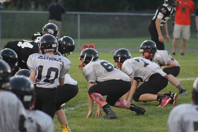 的传统不谋 的传统不谋