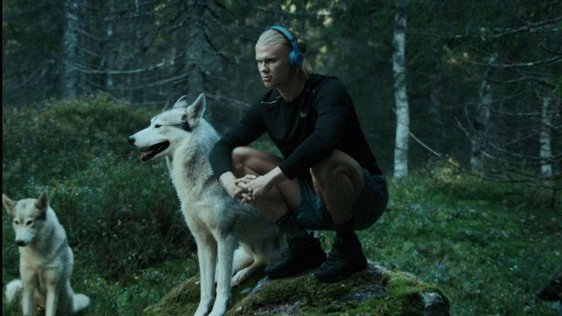 关键战役振 关键战役振